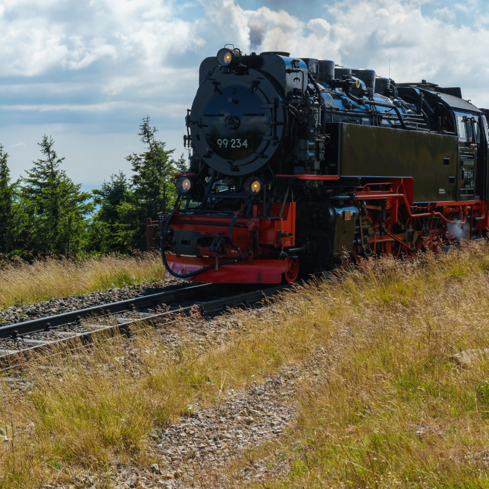 Juli 2018 – Auf dem Brocken