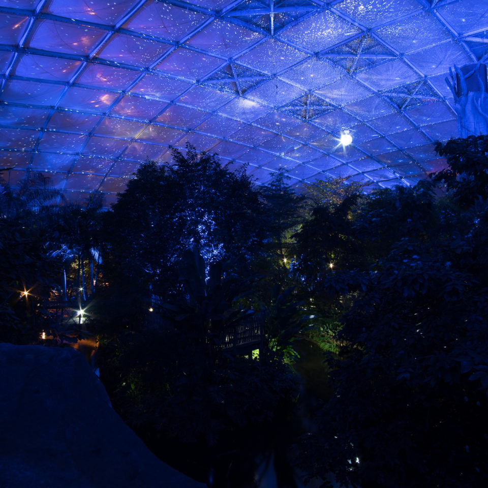 Februar 2018 – Tropenleuchten (Zoo Leipzig)