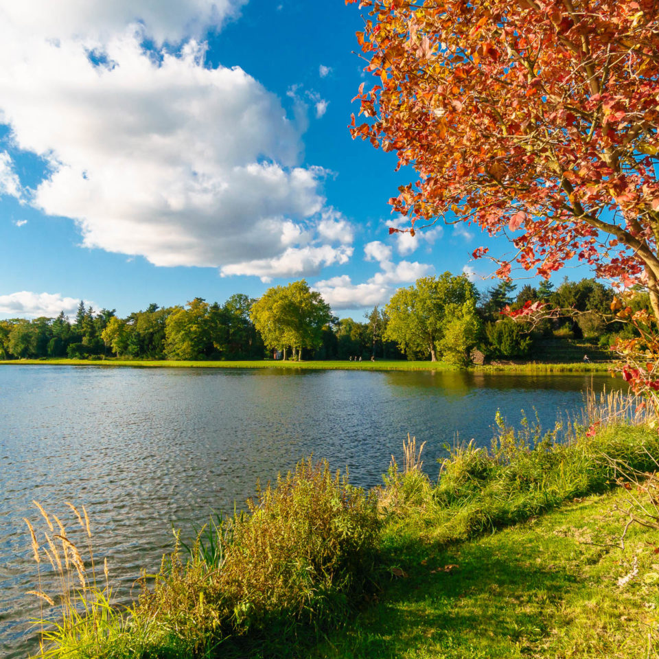 Oktober 2017 – Wörlitzer Park