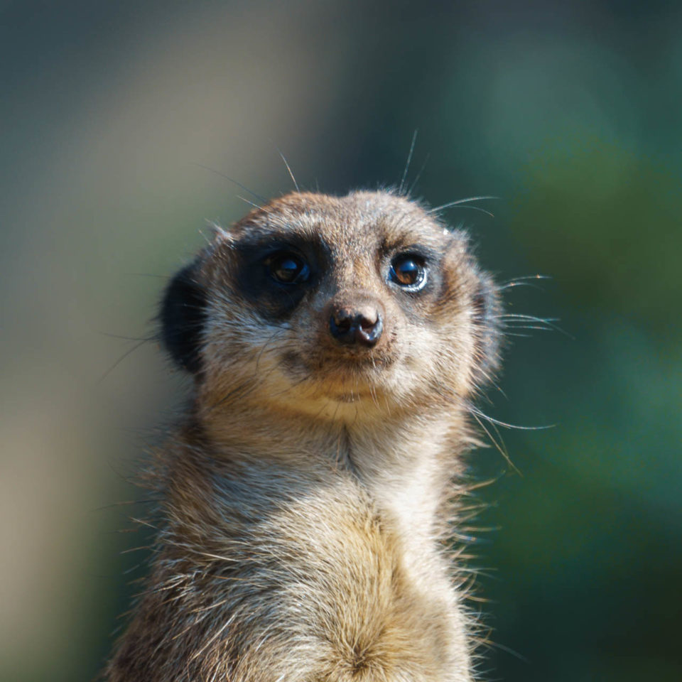 April 2018 – Zoo Leipzig