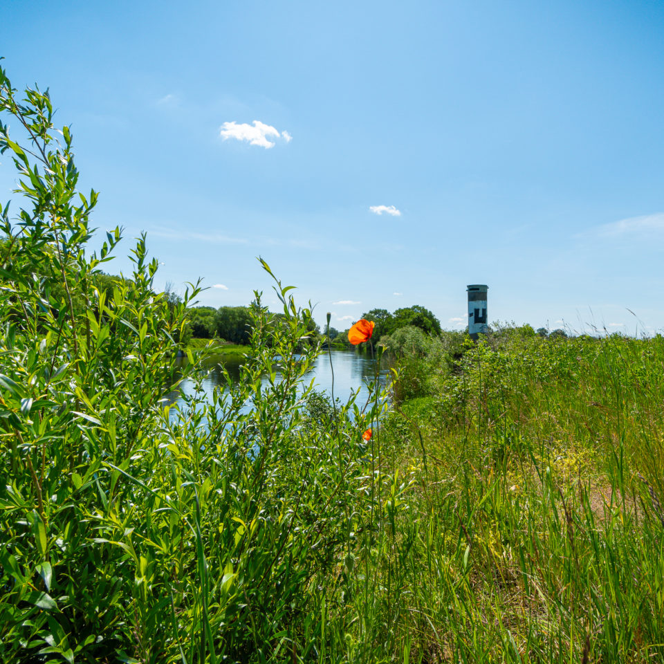 Mai 2019 – Muldeaue