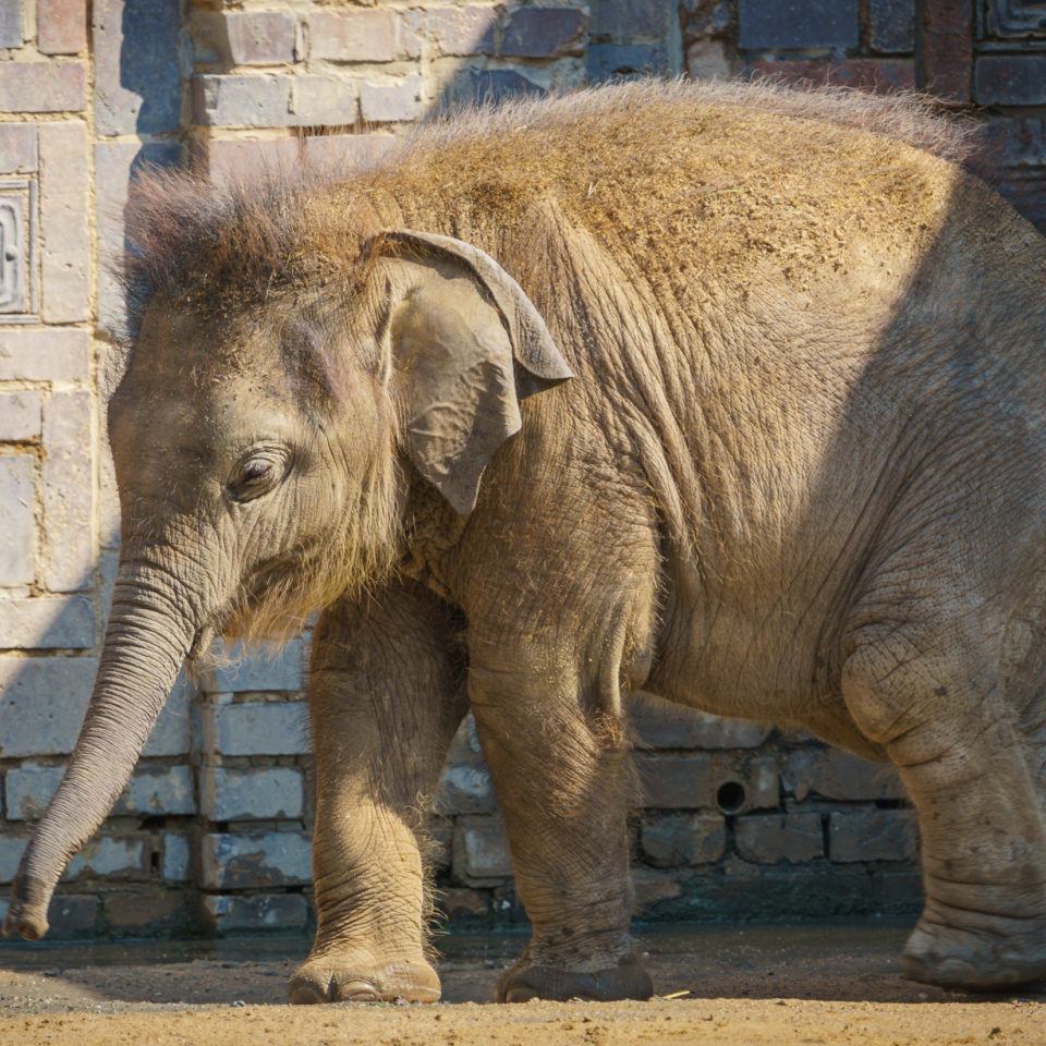 August 2019 – Zoo Leipzig