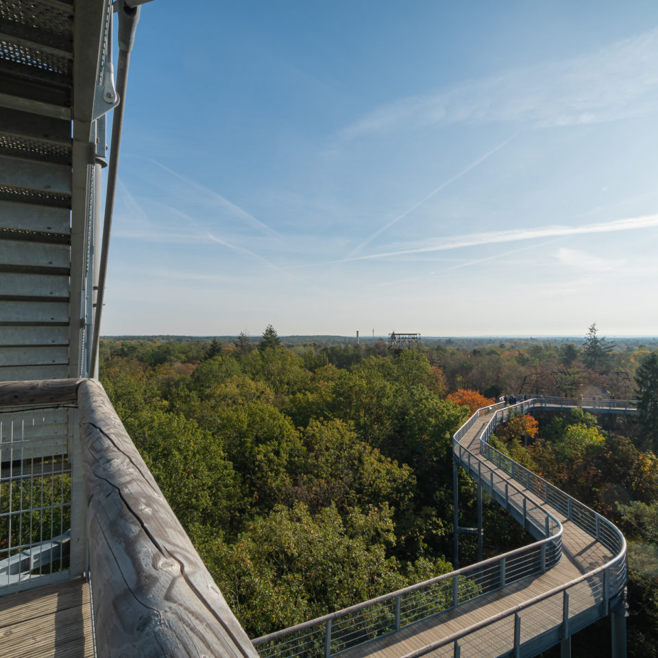 Oktober 2019 – Baumwipfelpfad – Beelitz-Heilstätten