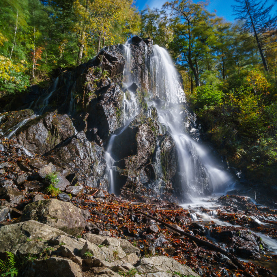 Oktober 2019 – Tagesausflug in den Harz