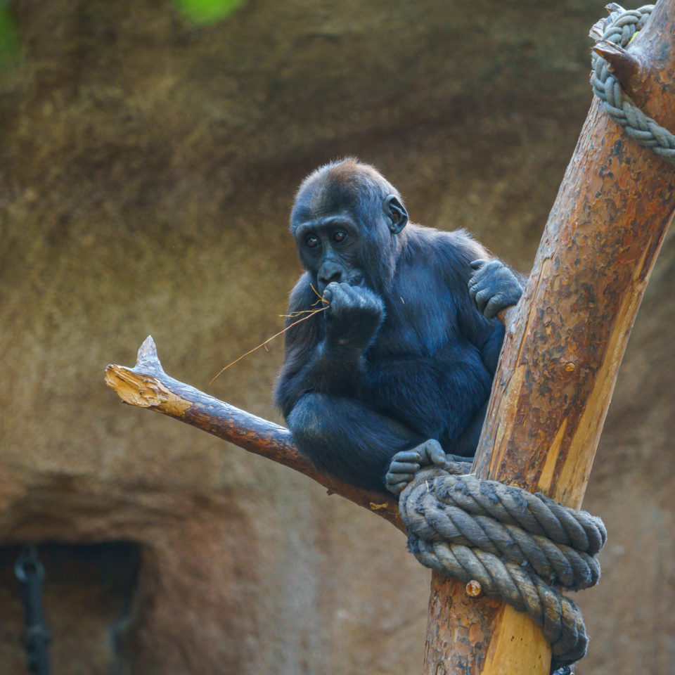 November 2019 – Zoo Leipzig