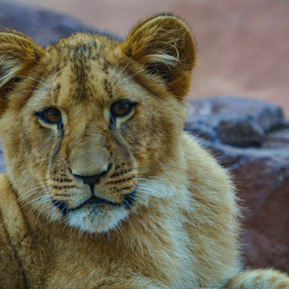 Dezember 2019 – Zoo Erfurt