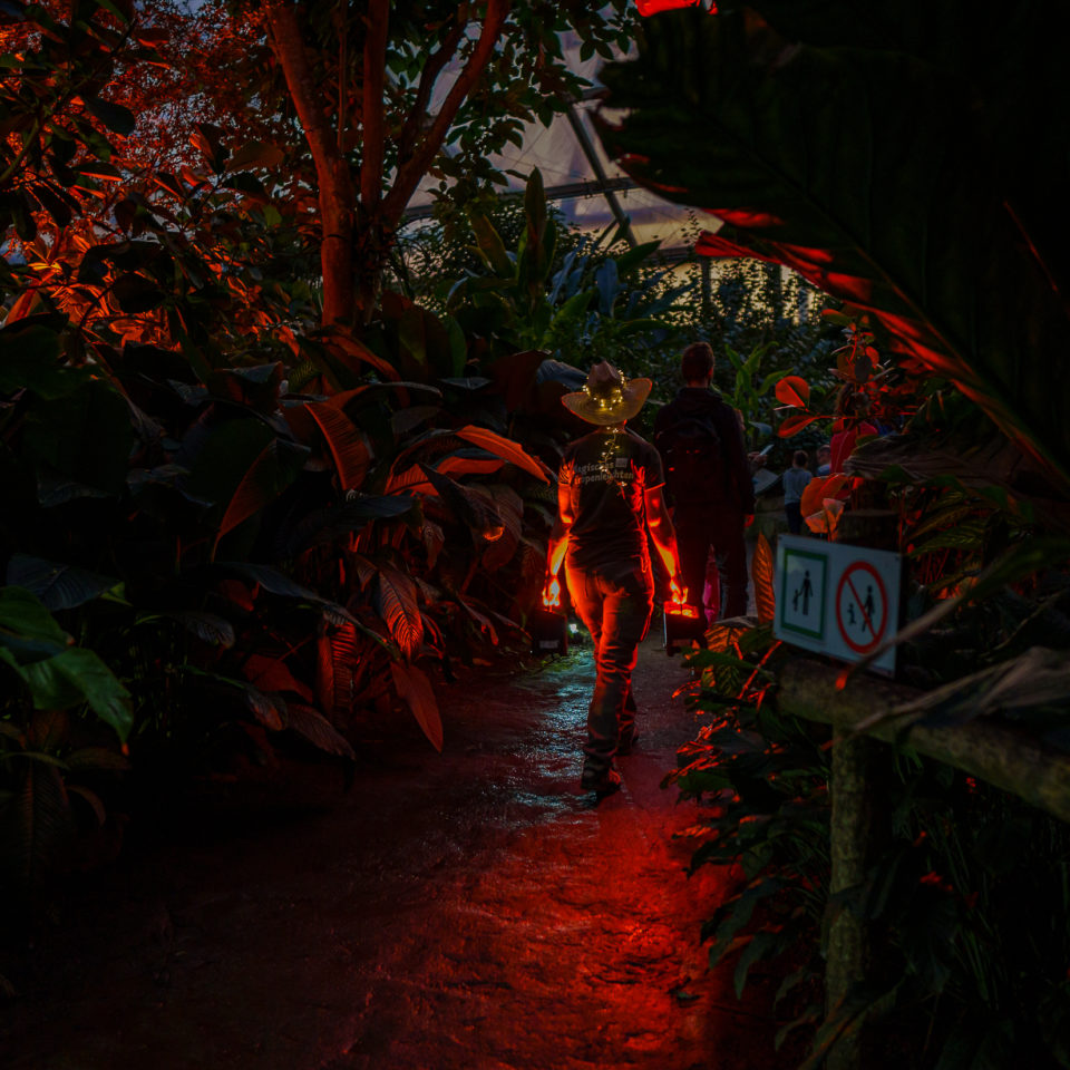 Januar 2020 – Magisches Tropenleuchten im Zoo Leipzig