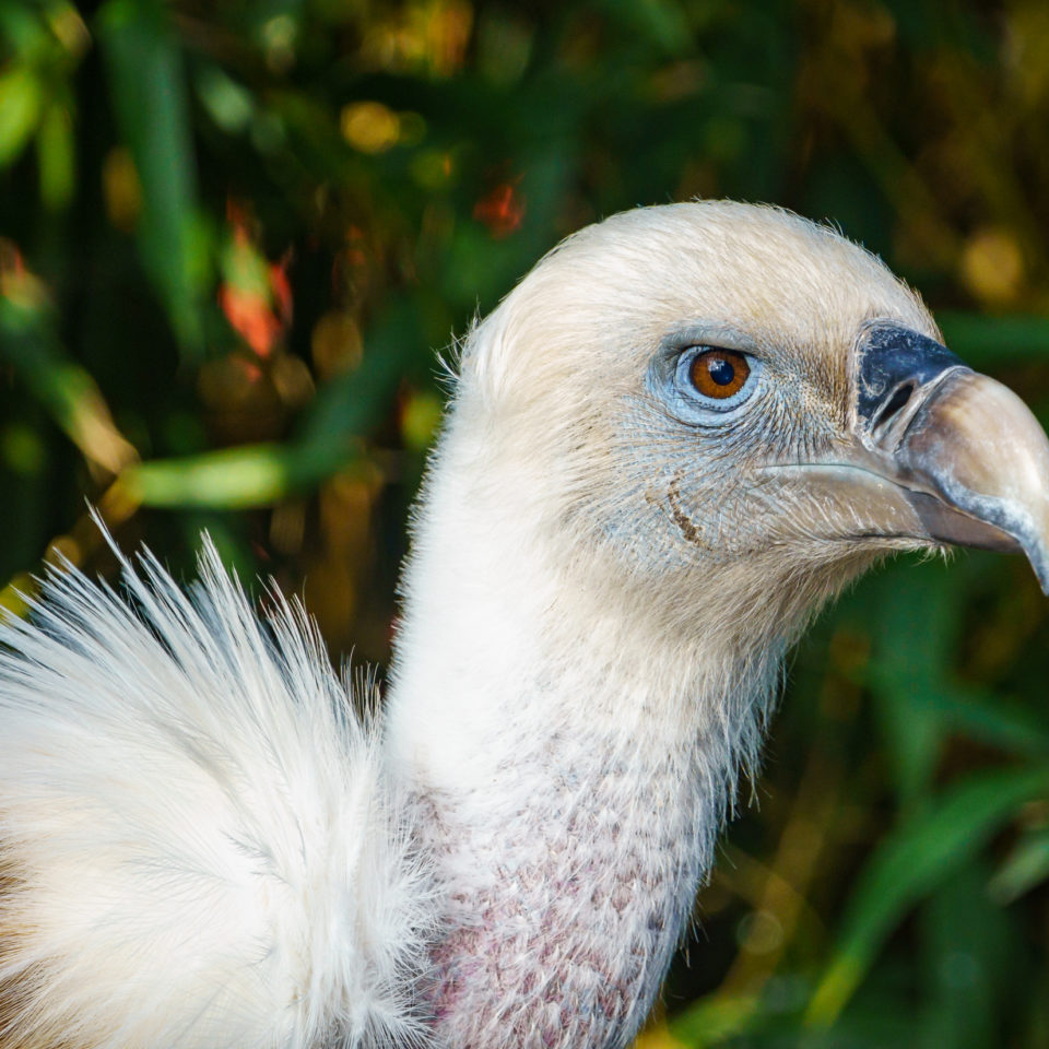 Januar 2020 – Zoo Leipzig (Sony A6600)