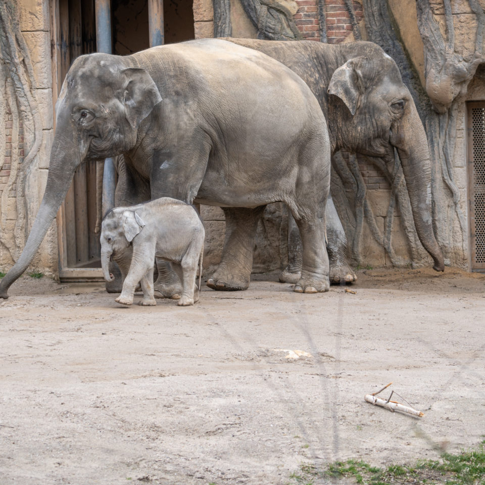 März 2020 – Zoo Leipzig