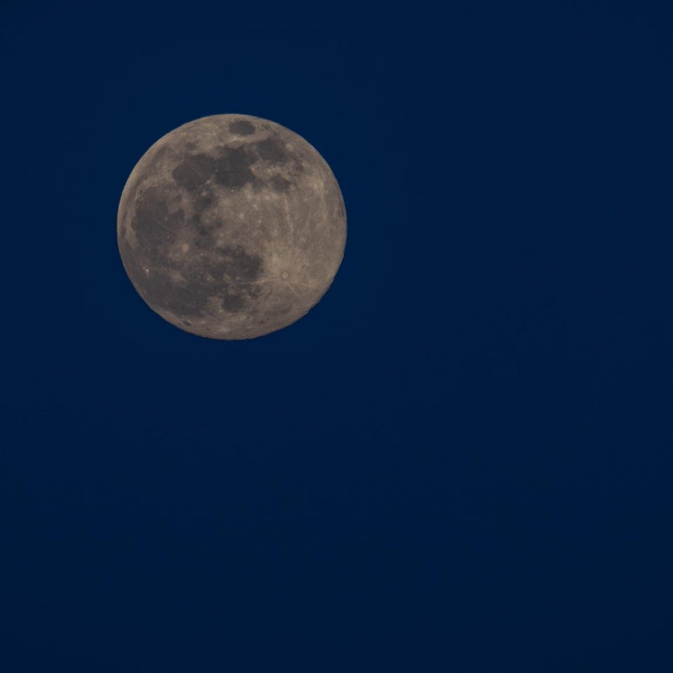 April 2020 – Vögel und Supermond