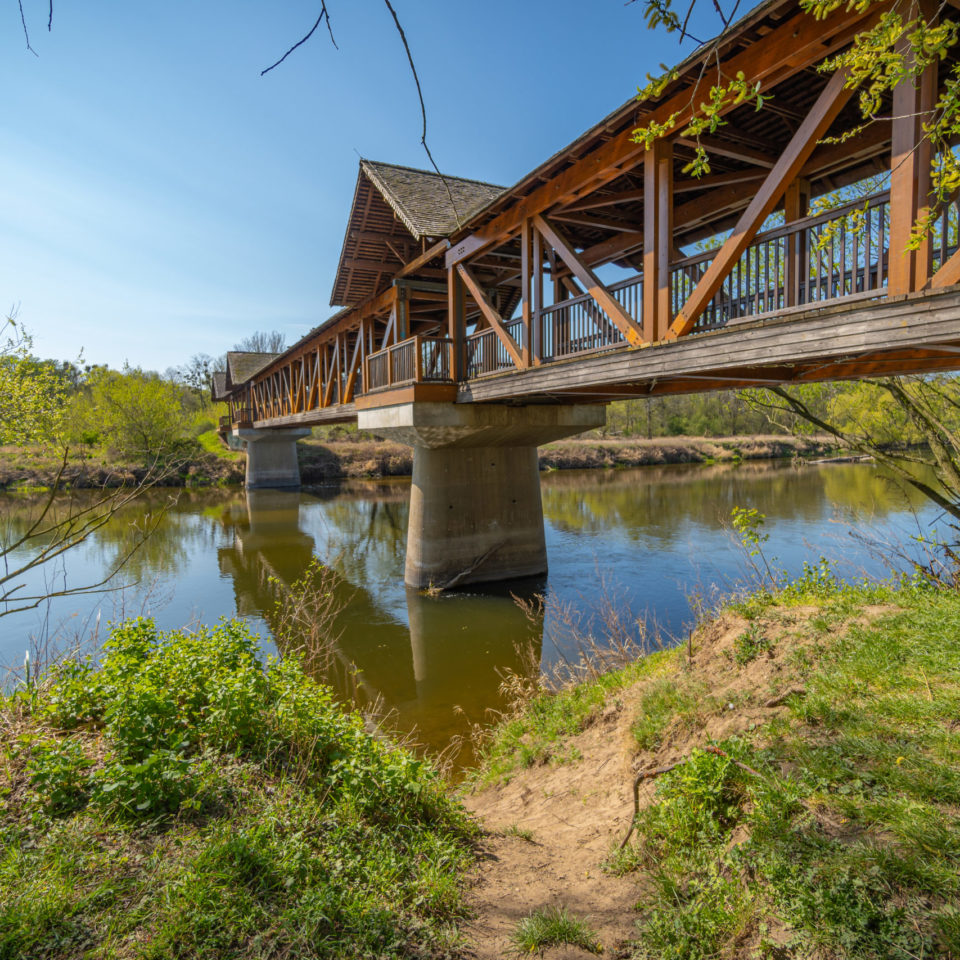 April 2020 – Unterwegs auf dem Mulderadweg (Storchenpaar)
