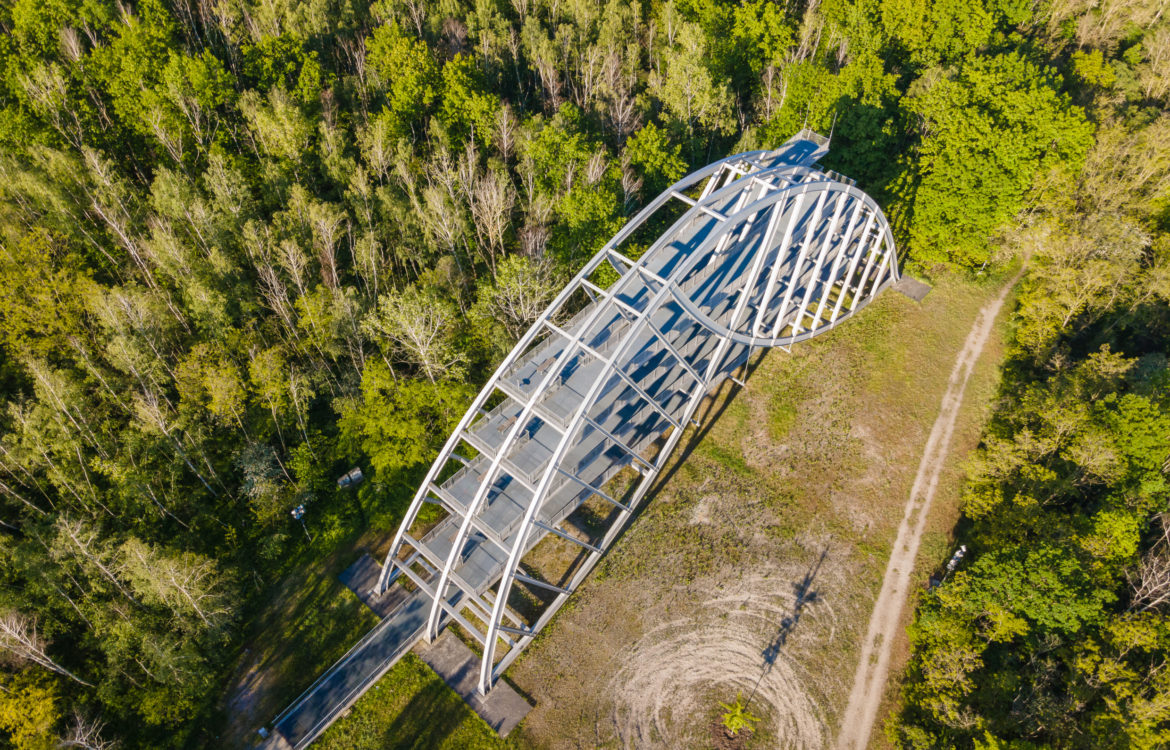 Der Bitterfelder Bogen