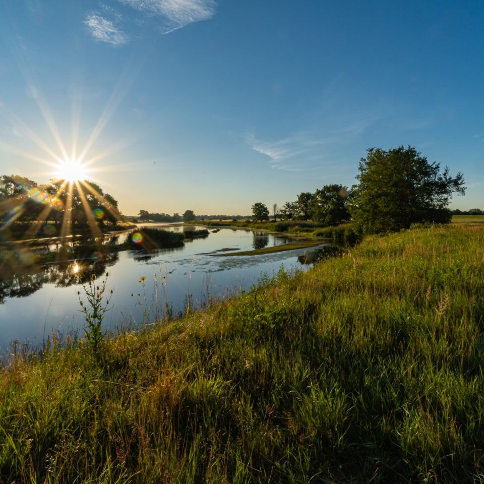 Juli 2020 – Fototour zwischen Mulde und Goitzsche
