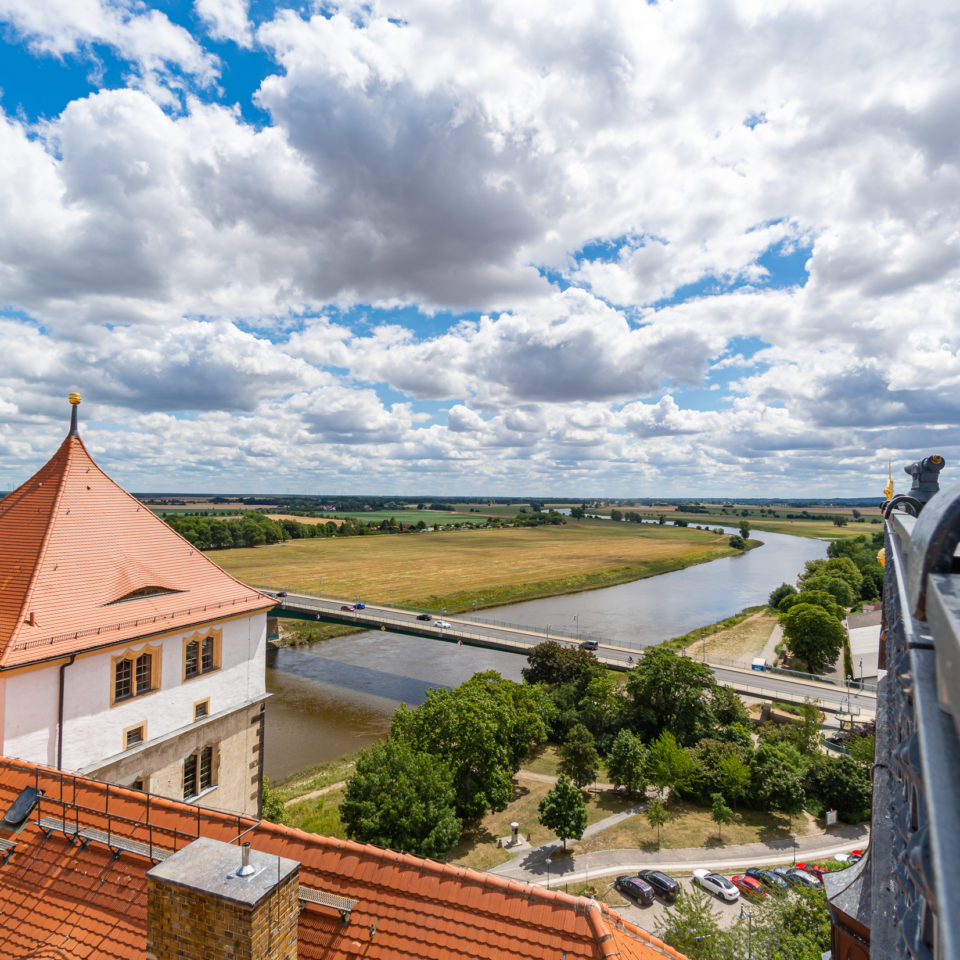 Juli 2020 – Muldestausee – Torgau (Schloss) – Sonnenblumenfeld