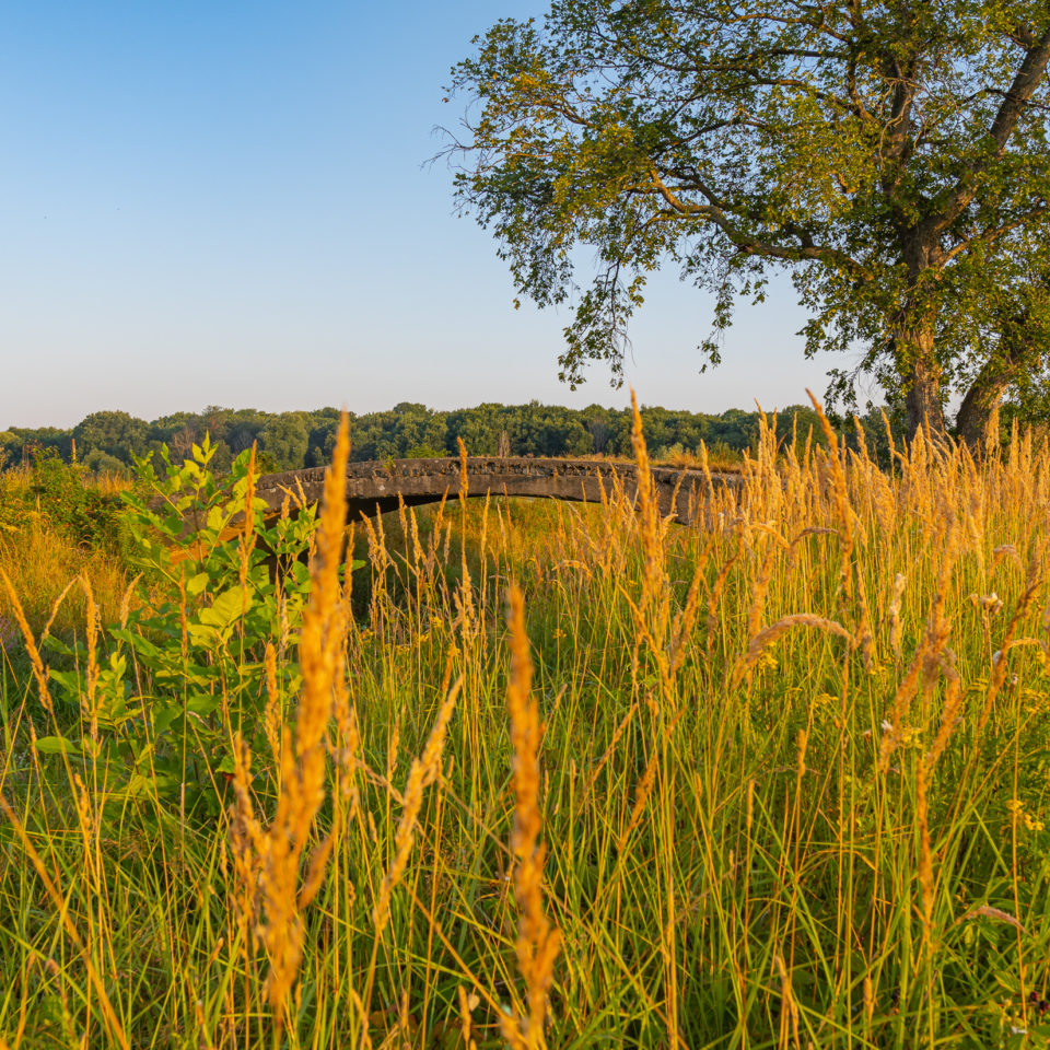 August 2020 – Radtour am Morgen – Wald und Luftaufnahmen