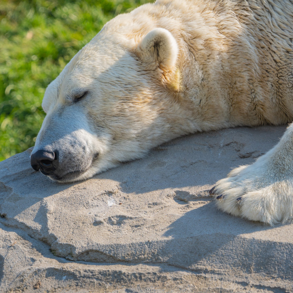 August 2020 – Zoo Rostock