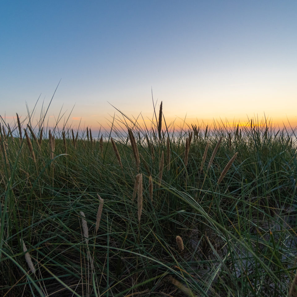 August 2020 – Abendstimmung am Ostseestrand (Dierhagen)