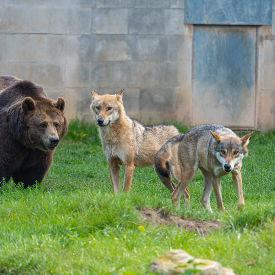 September 2020 – Tiergarten Bernburg