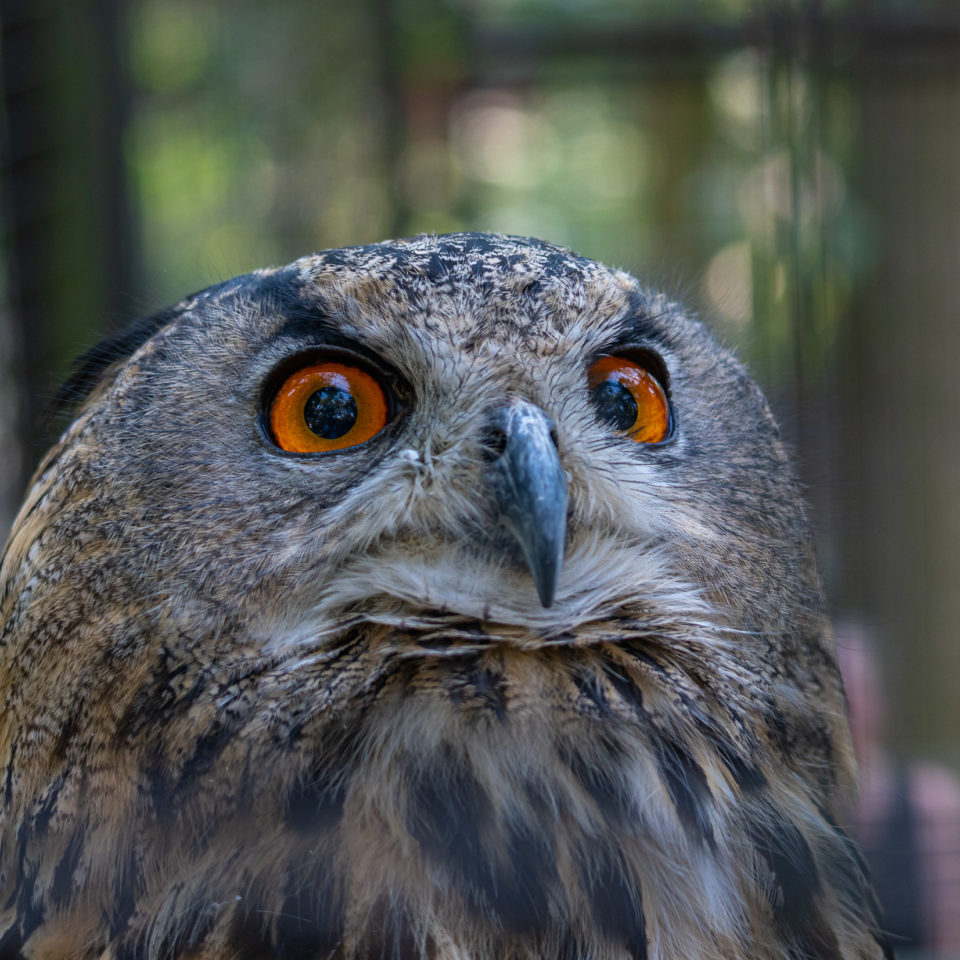 September 2020 – Tiergarten Halberstadt