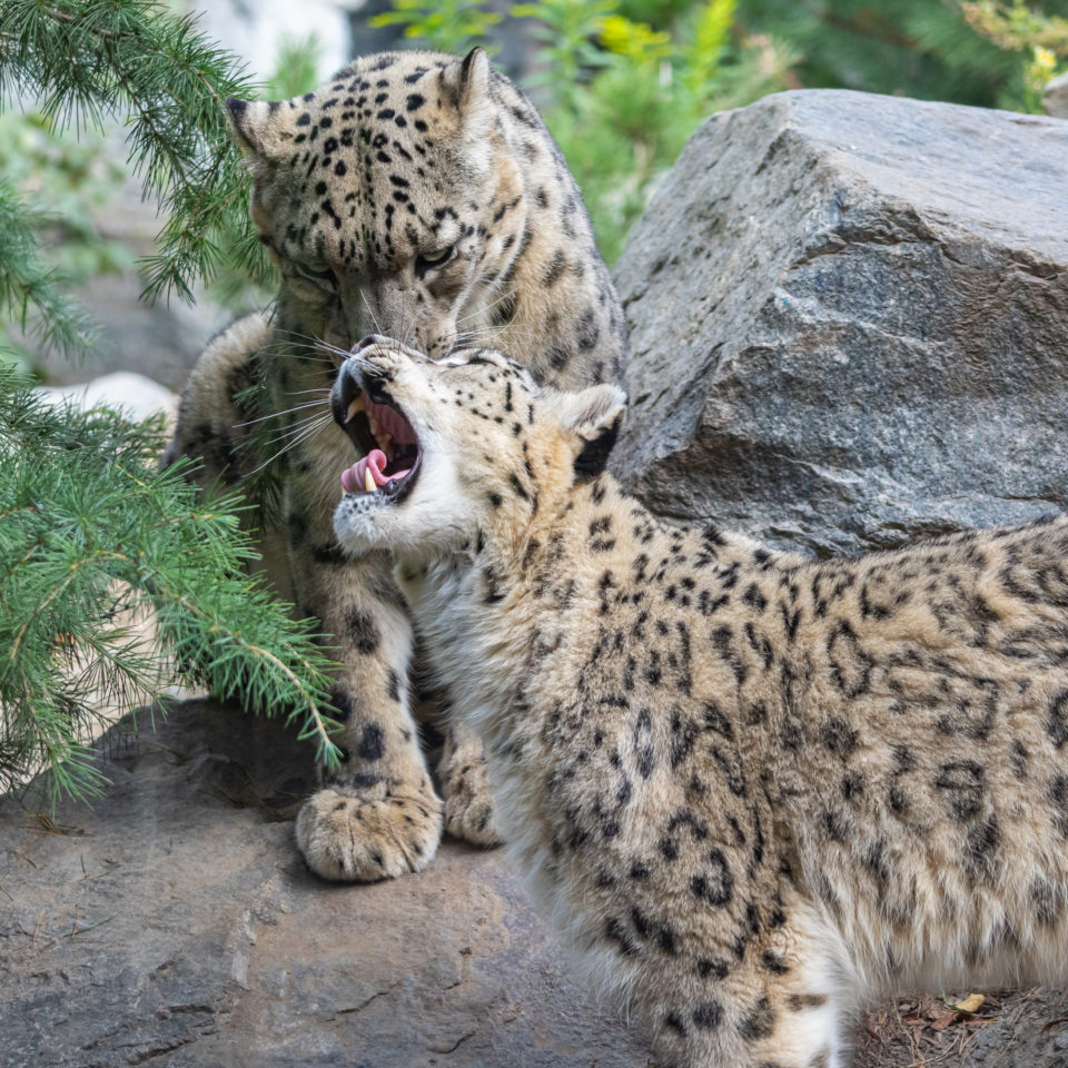 September 2020 – Zoo Leipzig