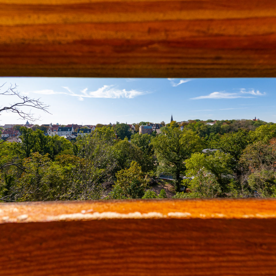 September 2020 – Bergzoo Halle (Saale) GoPro Hero 9
