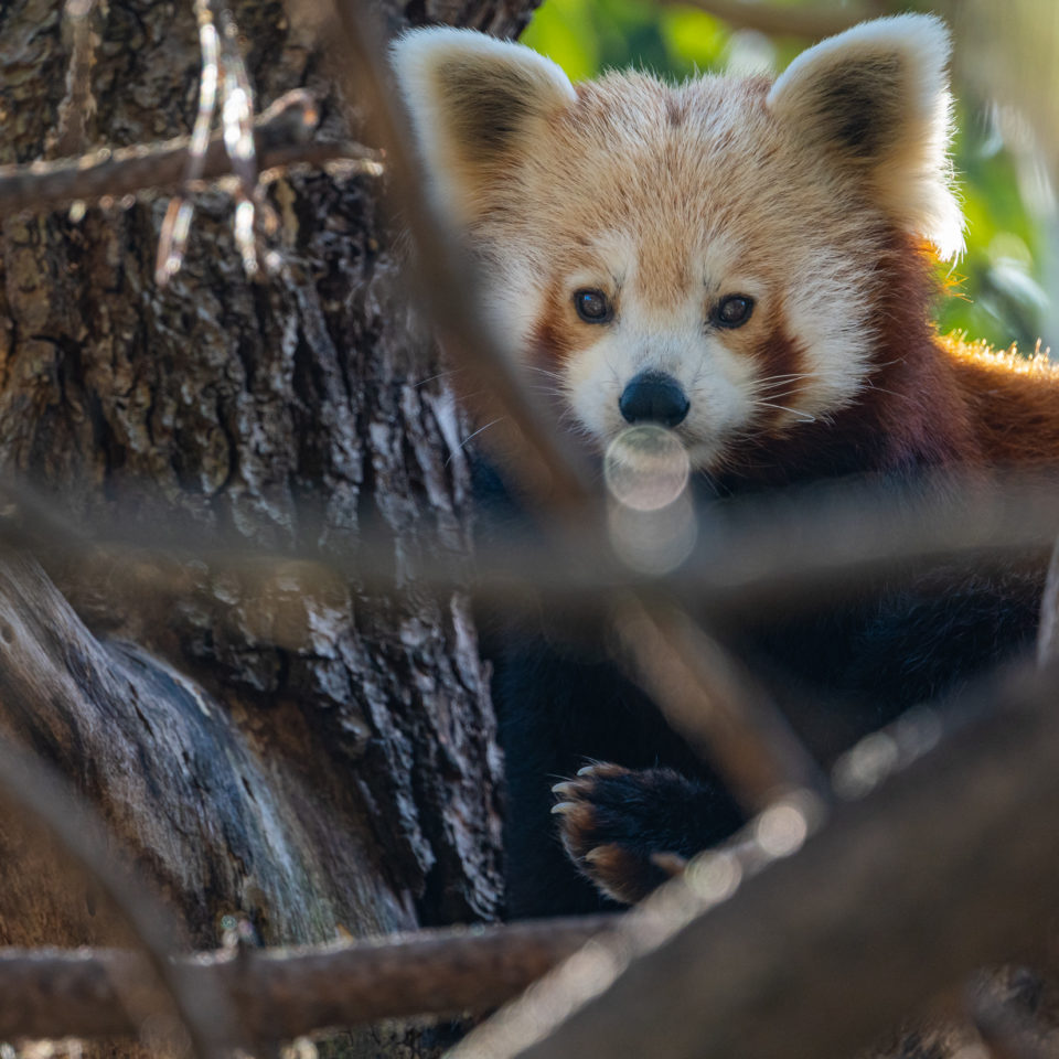 Oktober 2020 – Zoo Leipzig