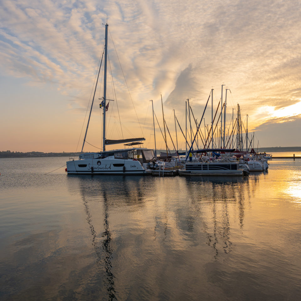Oktober 2020 – Morgens am Pegelturm (Goitzsche)