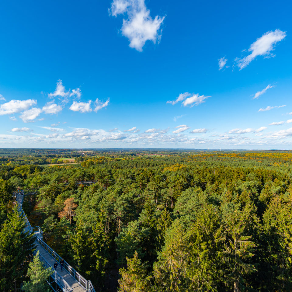 Oktober 2020 – Baumwipfelpfad Lüneburger Heide