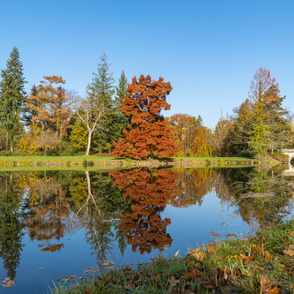 November 2020 – Wörlitzer Park – Tag 2