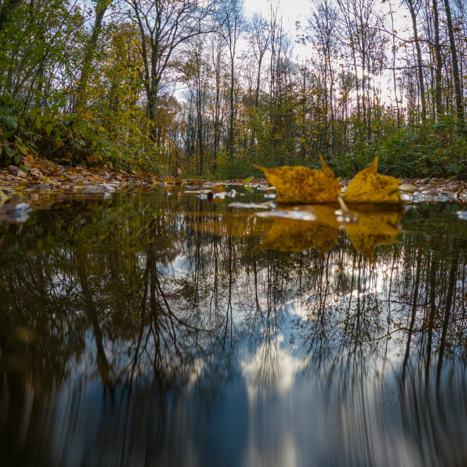 November 2020 – Herbstlicher Fotowalk mit der Actioncam