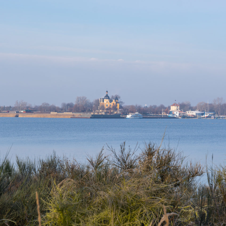 Januar 2021 – Unterwegs auf der Halbinsel Pouch (Makro & Frost)