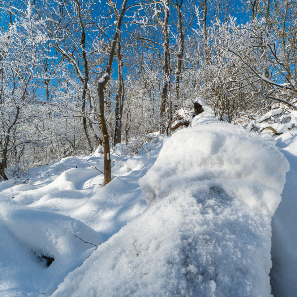 Februar 2021 – Winterwonderland am Petersberg