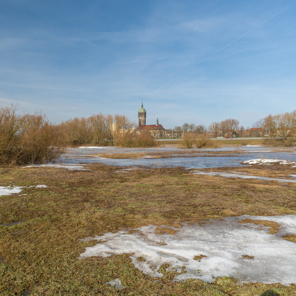 Februar 2021 – Elbaue bei Wittenberg