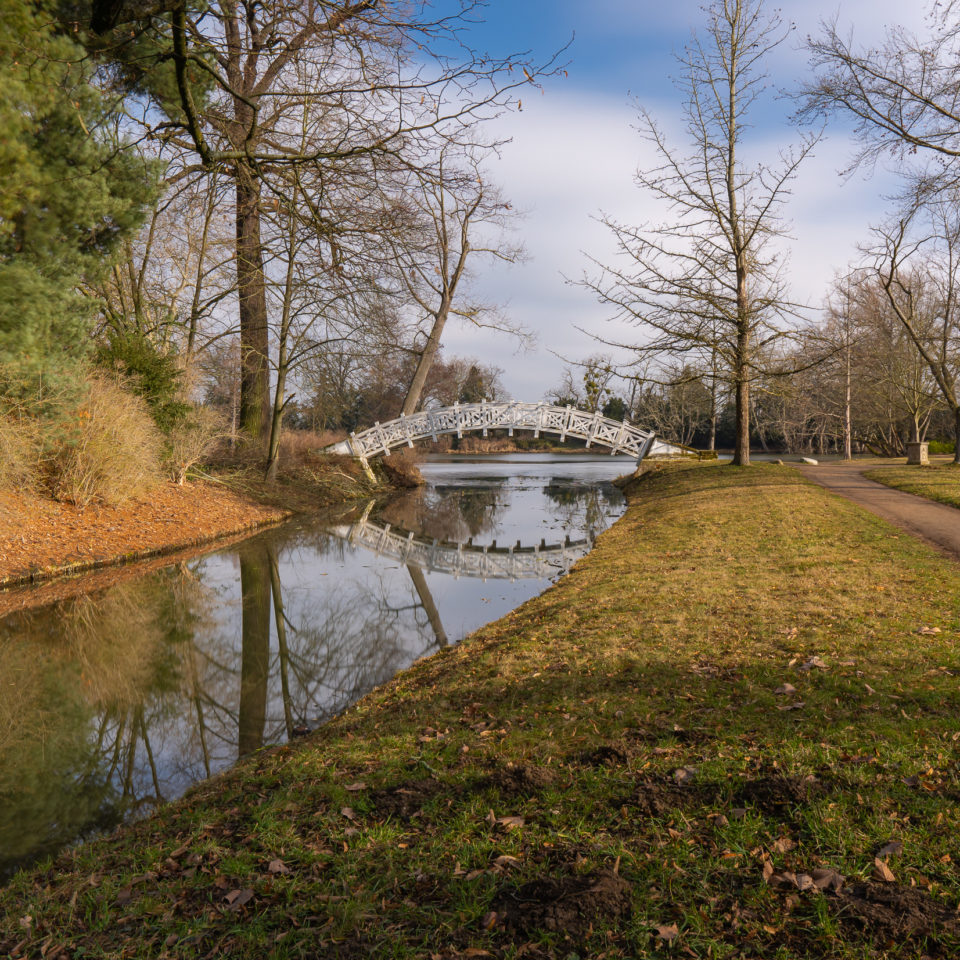Februar 2021 – Wörlitzer Park – Ein Hauch von Frühling