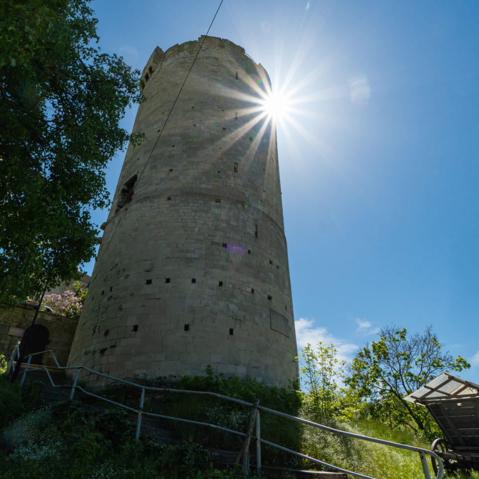 Mai 2021 – Burgenwanderung bei Bad Kösen