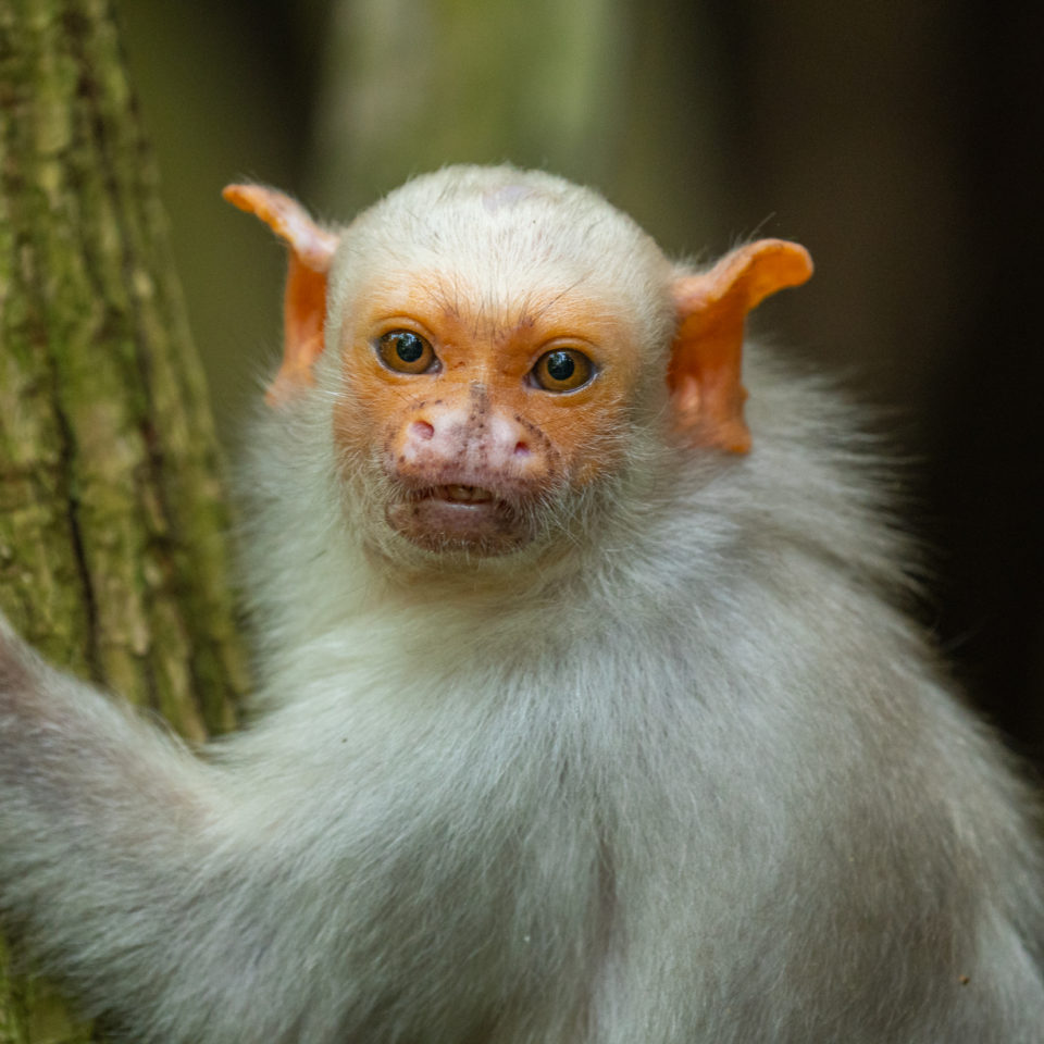 Juni 2021 – Zoo Leipzig