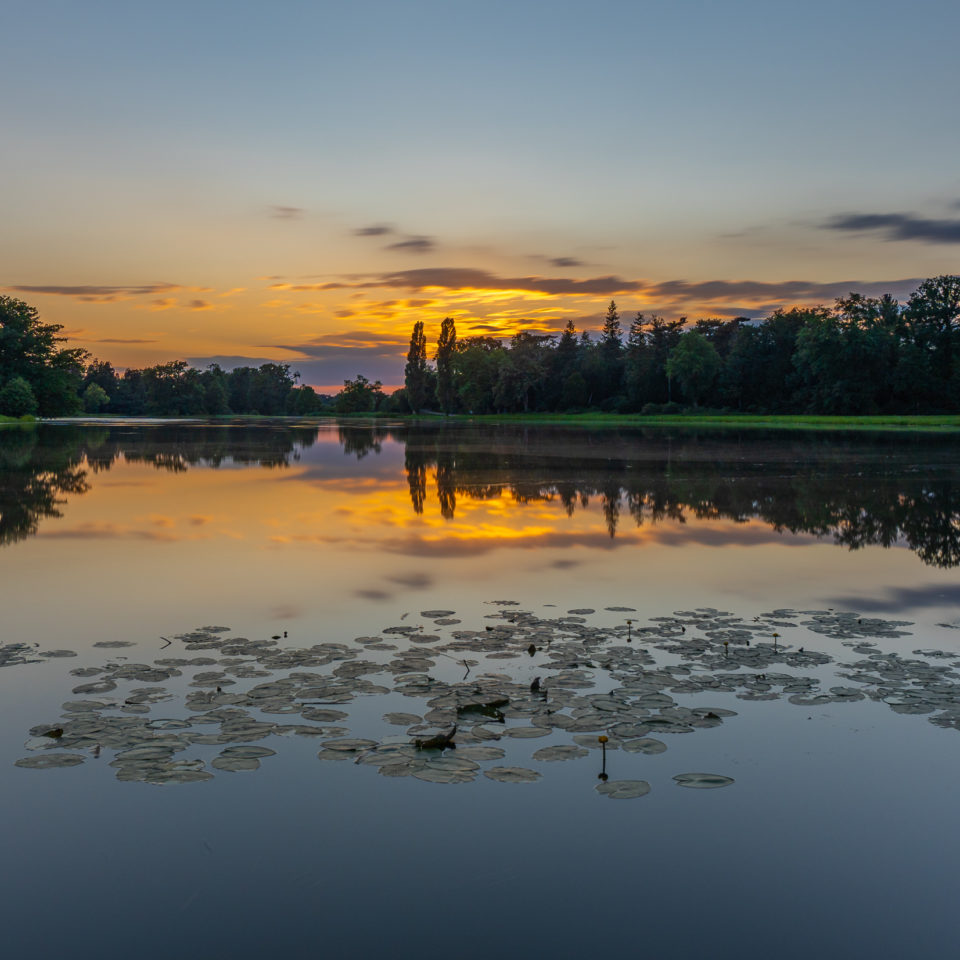 Juli 2021 – Sommer in Mitteldeutschland – Teil 2