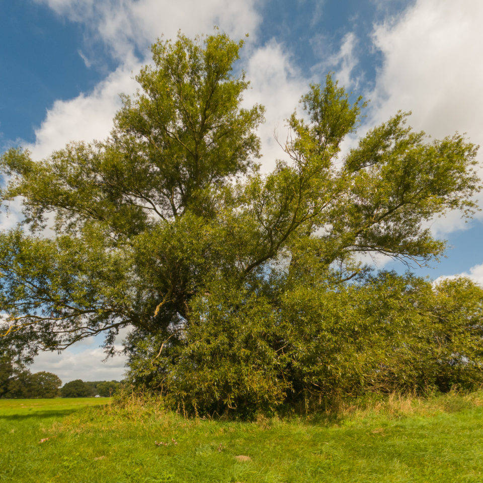 September 2021 – GoPro 10 – First Touch