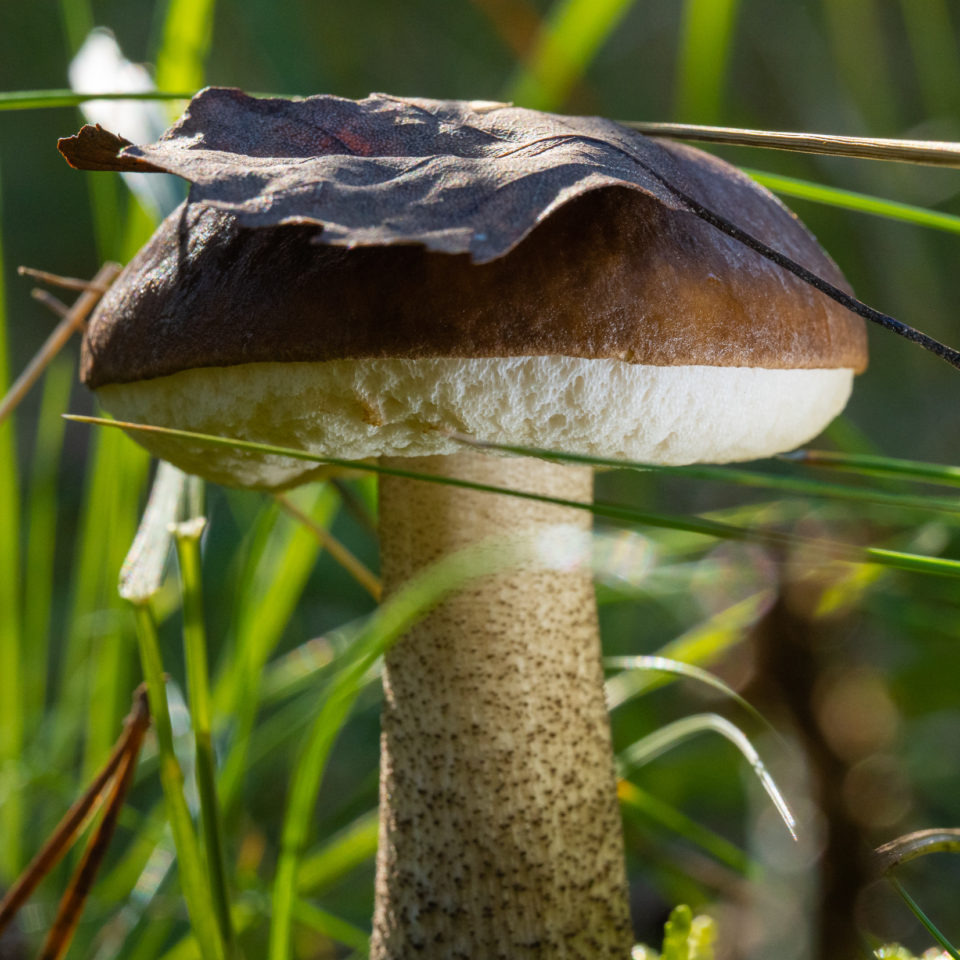 Oktober 2021 – Herbst am Stausee