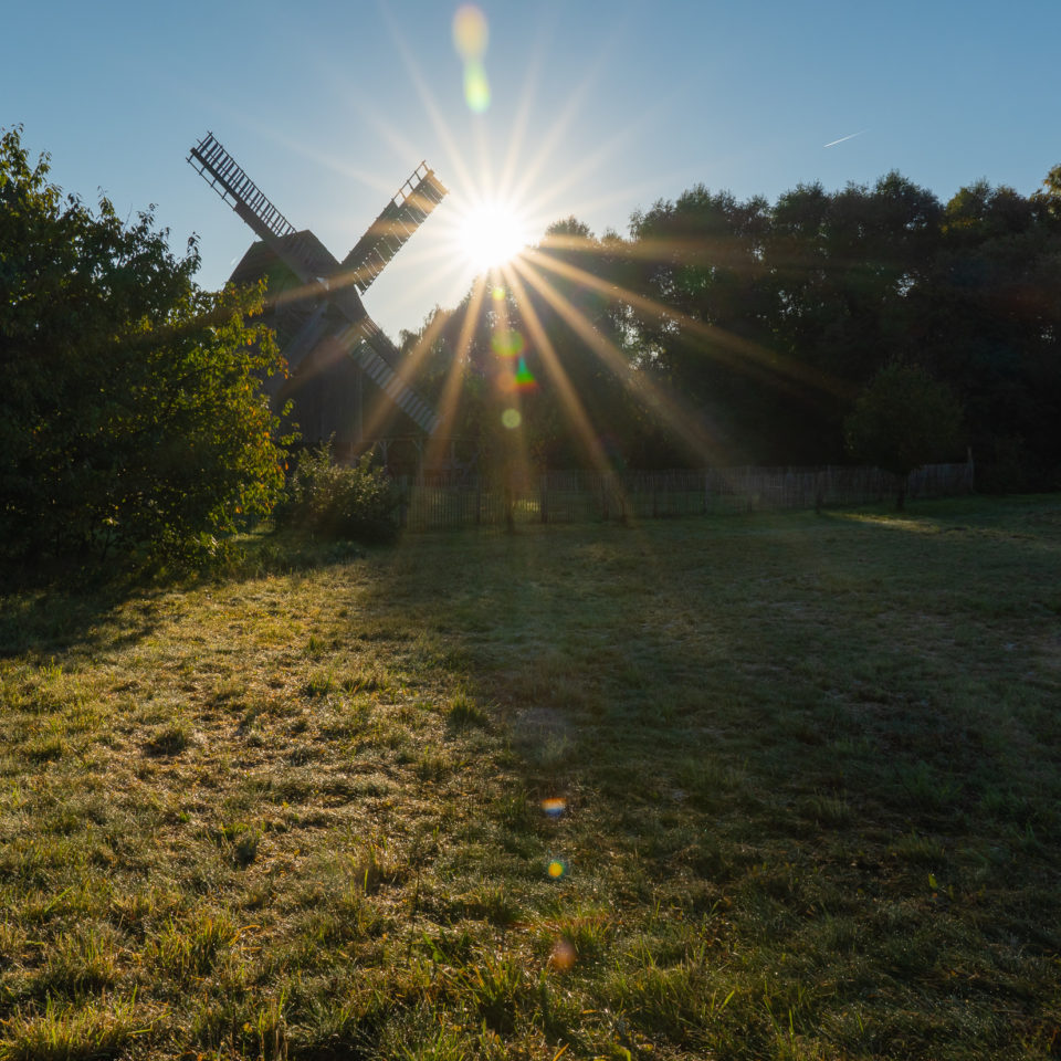 Oktober 2021 – Herbst an der Goitzsche