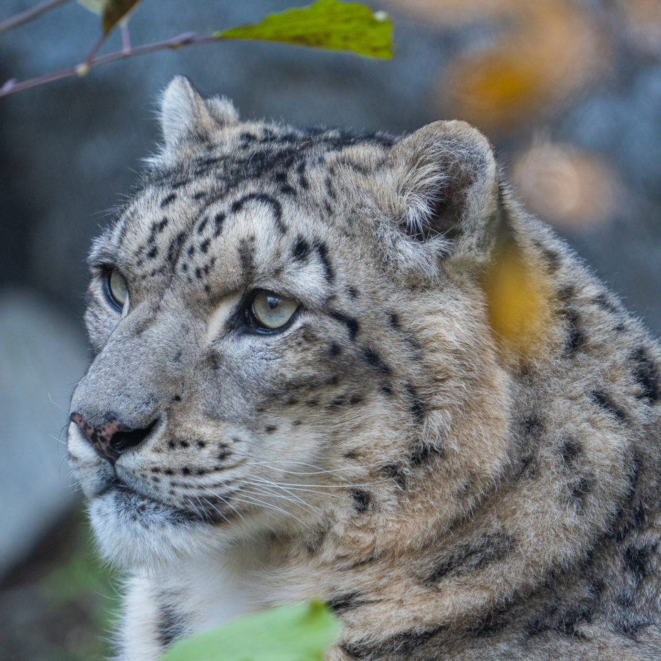 November 2021 – Zoo Leipzig