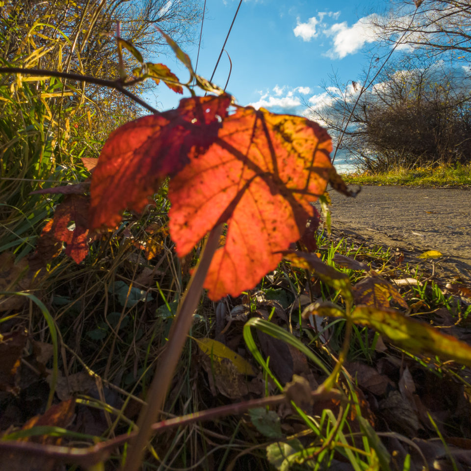 November 2021 – Fotografieren mit der A6600 und der DJI Action 2