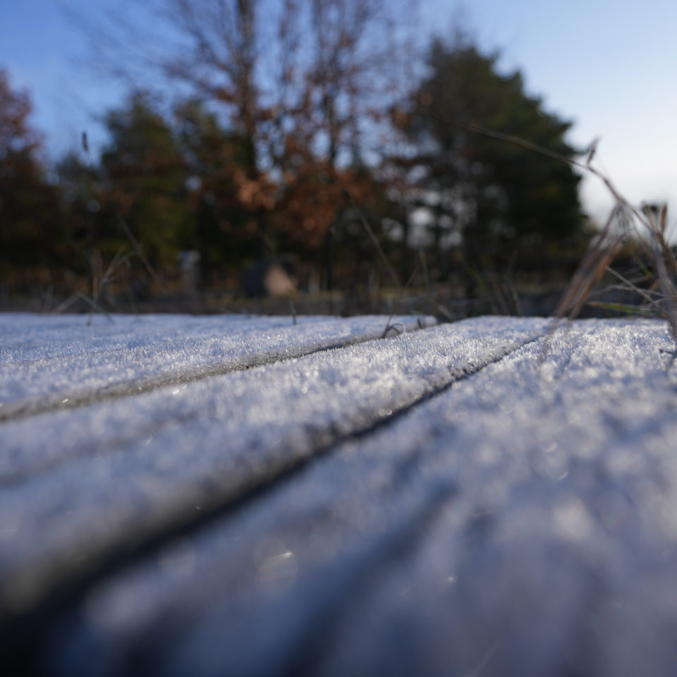 November 2021 – Halbinsel Pouch (Sony A7 IV OOC)