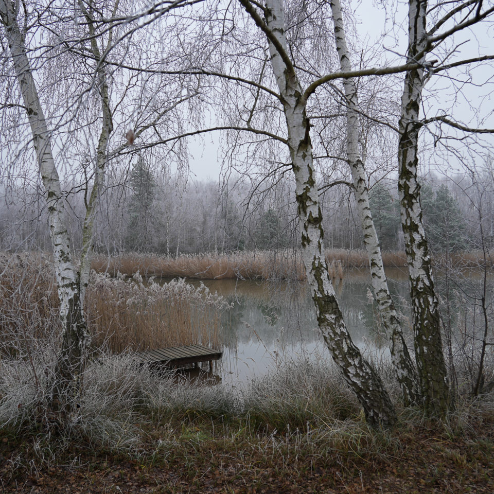 Dezember 2021 – Am blauen Auge (A7IV – SEL24-105)