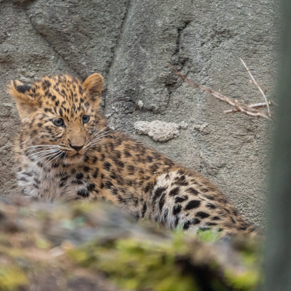 Januar 2022 – Neujahr im Zoo Leipzig