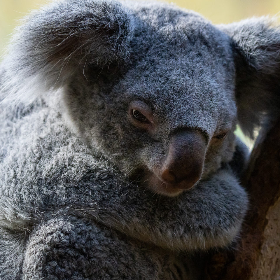 Januar 2022 – Zoo Leipzig