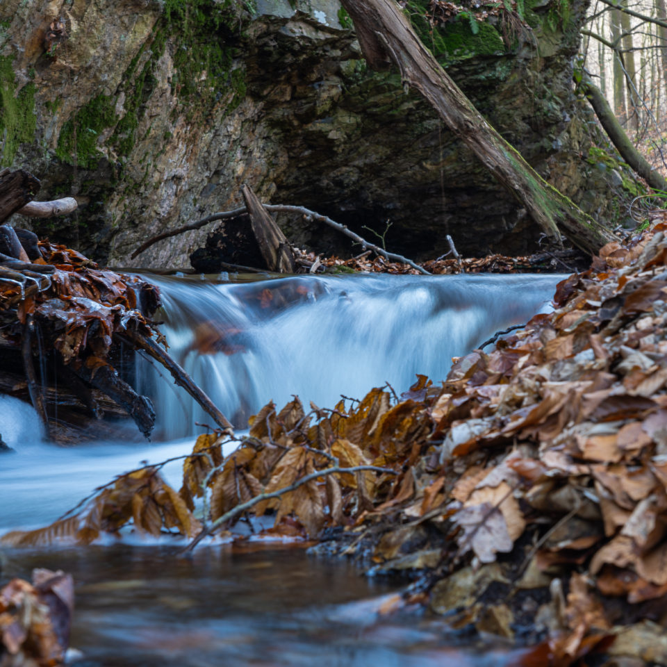 Februar 2022 – Harztour – Burgruine Lauenburg