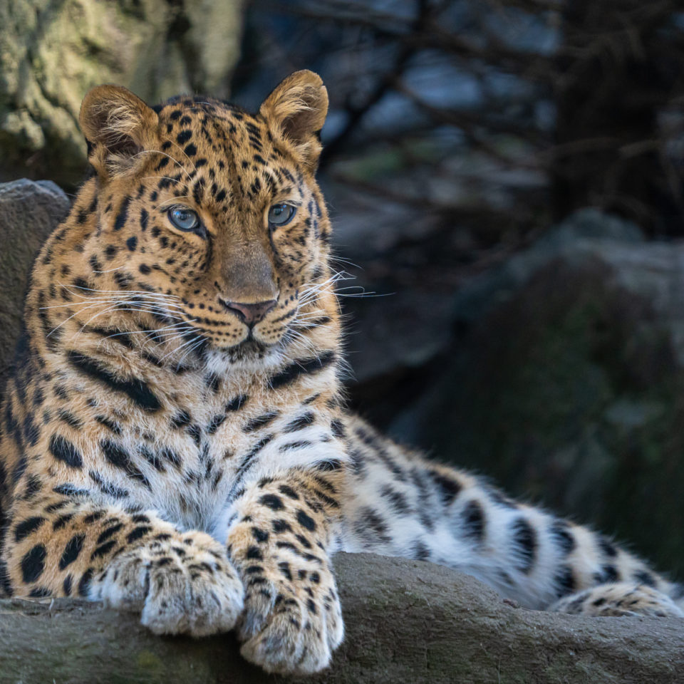 März 2022 – Zoo Leipzig