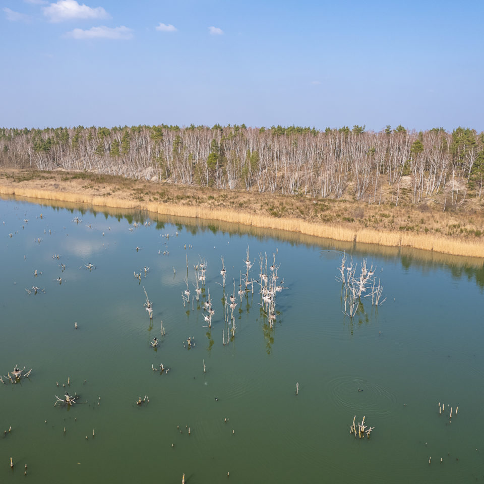 März 2022 – Unterwegs in der Goitzsche Wildnis