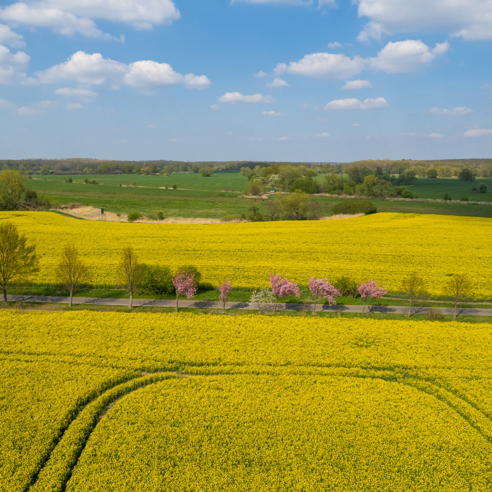 April 2022 – DJI Air 2s – Frühling